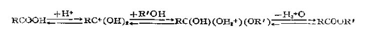 酯化反应催化剂催化机理